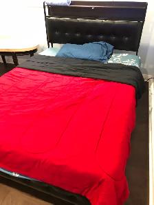 Furnished Room on a Main Floor of a house in Pickering for Rent - Photo 3
