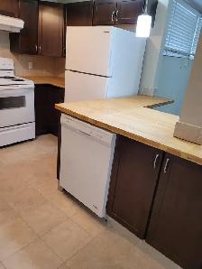 Basement for Rent - Photo 9