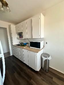 Superbe 41/2 à 1 395$ à Laval-des-Rapides - Photo 5
