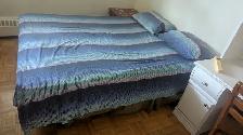 1 bedroom for rent for $1000/- for single nonsmoking female only - Photo 2