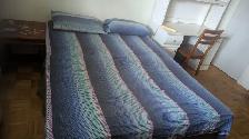 1 bedroom for rent for $1000/- for single nonsmoking female only - Photo 4