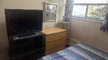 1 bedroom for rent for $1000/- for single nonsmoking female only - Photo 7