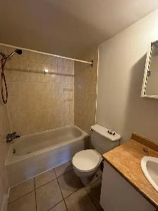 Superbe 41/2 à 1 295$ à Laval - Photo 9