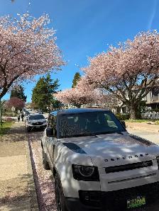 2026 Defender 110 P300 S Lease Takeover $0 Down 1st Payment On M - Photo 3
