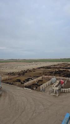 Farm and Feedlot Labourer - Photo 3