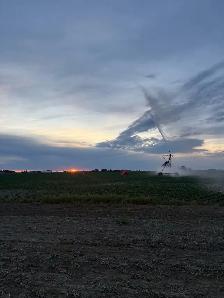 Farm and Feedlot Labourer - Photo 4