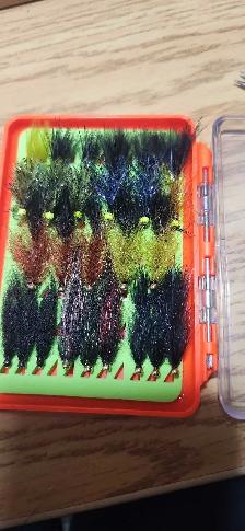 Balance leeches - Photo 2