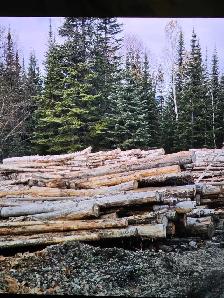 budget bulk boiler firewood