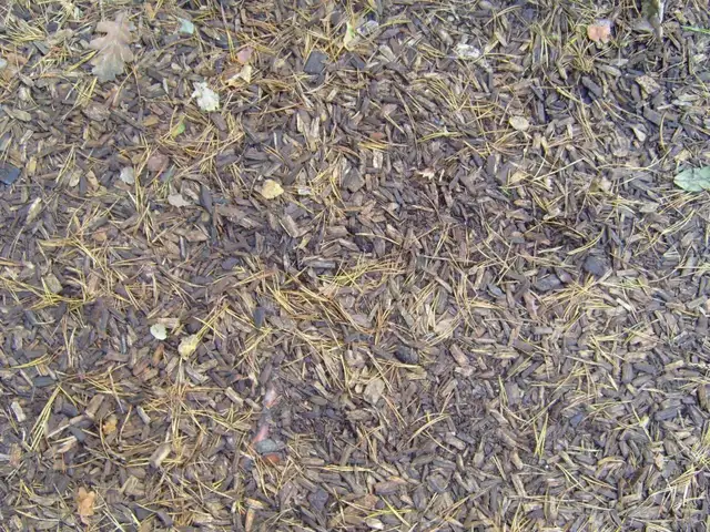 Cushioning Wood Chips for Play Structures & Under Trampolines
