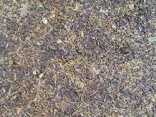 Cushioning Wood Chips for Play Structures & Under Trampolines