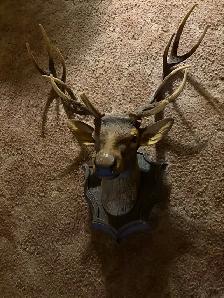 Elk Antler Wall Mount Decor