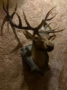 Elk Antler Wall Mount Decor - Photo 3