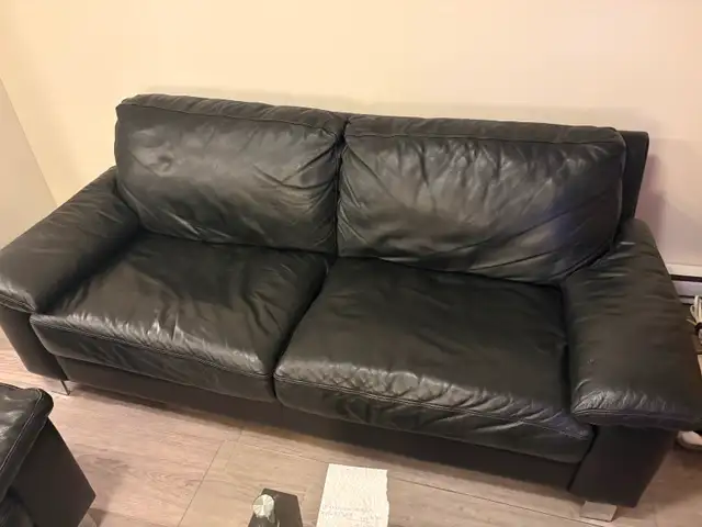 Leather sofas and cat tree
