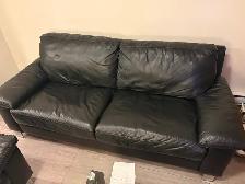 Leather sofas and cat tree