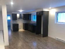 Renovated One Bedroom Apartment