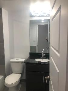 Renovated One Bedroom Apartment - Photo 4