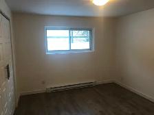 Renovated One Bedroom Apartment - Photo 7