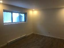 Renovated One Bedroom Apartment - Photo 9