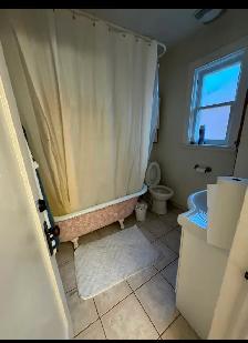 2 Furnished Bedrooms in Hamilton near McMaster University 4 Rent - Photo 4