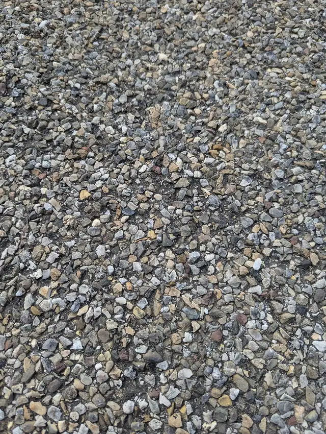 Small Mixed River Pebbles for Dog Runs & Pathway Edges