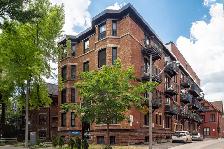 renovated one bedroom, College and Spadina - ID 4771