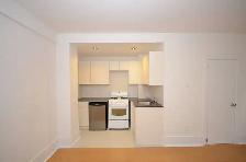 renovated one bedroom, College and Spadina - ID 4771 - Photo 2