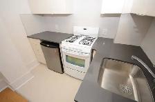 renovated one bedroom, College and Spadina - ID 4771 - Photo 3