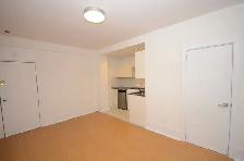renovated one bedroom, College and Spadina - ID 4771 - Photo 7