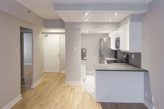renovated one bedroom apartment near McGill - ID 1084