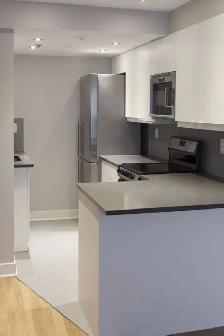 renovated one bedroom apartment near McGill - ID 1084 - Photo 2