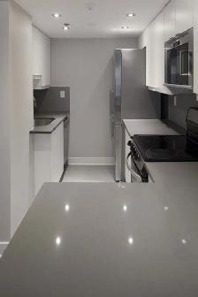 renovated one bedroom apartment near McGill - ID 1084 - Photo 3