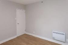 renovated one bedroom apartment near McGill - ID 1084 - Photo 5