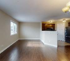 #2542- 3 Bedroom Lower Level in Crystal Landing $1450 - Photo 3