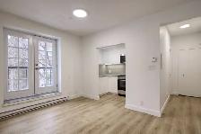 Renovated Studio near McGill - ID 3168 - Photo 3