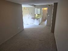 CAM-17B Camelot — 1 Bed Lower-Level Suite, Waterloo