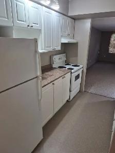 CAM-17B Camelot — 1 Bed Lower-Level Suite, Waterloo - Photo 4