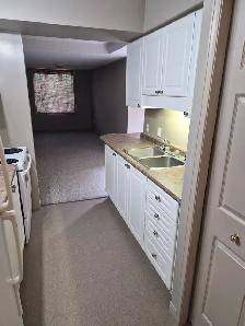 CAM-17B Camelot — 1 Bed Lower-Level Suite, Waterloo - Photo 5