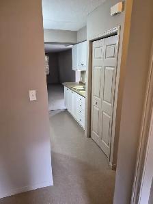 CAM-17B Camelot — 1 Bed Lower-Level Suite, Waterloo - Photo 6