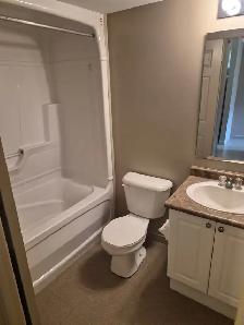CAM-17B Camelot — 1 Bed Lower-Level Suite, Waterloo - Photo 9