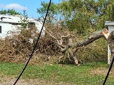 Looking for a general labour job/ handy man position/landscaping - Photo 3
