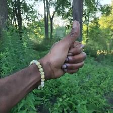 Looking for a general labour job/ handy man position/landscaping - Photo 6