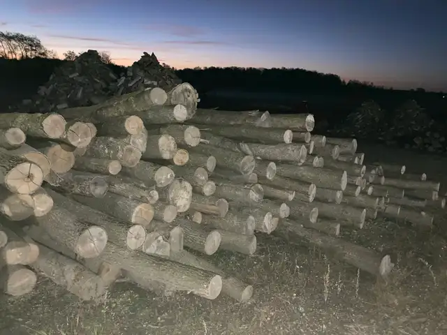 Firewood blocks for sale
