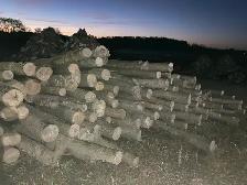 Firewood blocks for sale