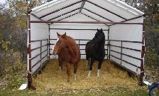 50% OFF:  Gates, Panels, etc.  ALL  inventory is 50% Off - Photo 10