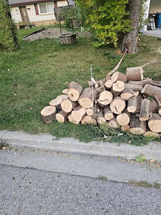 Fire wood FREE kennedy and finch