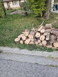 Fire wood FREE kennedy and finch