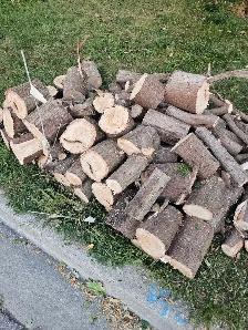 Fire wood FREE kennedy and finch - Photo 2