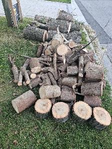 Fire wood FREE kennedy and finch - Photo 3