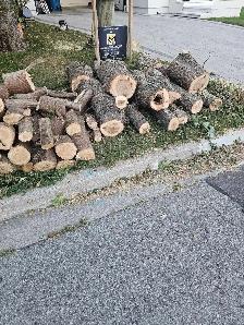 Fire wood FREE kennedy and finch - Photo 4