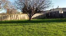 Large & bright 1 bed apt - Photo 7